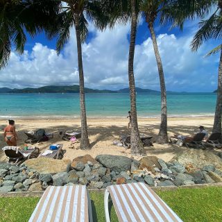 You’ll find us under the palm trees @hamiltonisland 🌴🥥

Lazing on a palm-fringed beach and swimming in sparkling water 🌊 @visit.queensland @absoluteaustralia 

#SeeAustralia #ig_australia #ThisIsQueensland #WhitsundaysQLD #HamiltonIsland #australia #qld 

#waves #beach #sand #queensland  #qld #instanature #instaphotography #photography #australia #wow_australia2024 #ig_australia #sociallifeaustralia #hello_bluey #seeaustralia #sky_captures #australianlife  #dailytelegraph #ig_discover_australia #fabulous_australia_