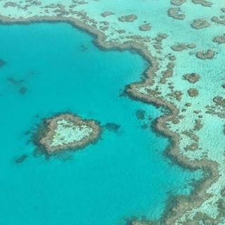 We’re sending a whole lotta love your way today from the dreamingly stunning and naturally formed Heart Reef. Nestled in the @whitsundaysqld in Australia’s Great Barrier Reef Marine Park @queensland, this heart-shaped icon is the perfect spot for a mid-air proposal or romantic celebration @absoluteaustralia 💙😍

#love #romance #proposal #ideas #heart #reef #scenic #flight #seeaustralia #thisisqueensland #lovewhitsundays #greatbarrierreef #australia