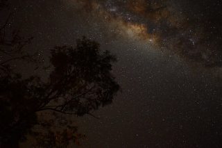 Star gazing on the @gibb.river.road doesn’t get any better.  Absolutely magical @westernaustralia @absoluteaustralia 💫⭐️✨

#astrophotography #star #gazing #milkyway #gibbriverroad #exploreaustralia #westernaustralia #wa #instawa #igwa #travelwa #tourismwa #justanotherdayinwa ##landdownunder #loveaustralia #australia #amazingaustralia #seeaustralia #travelaustralia #instaaustralia #ig_australia #australiagram #exploringaustralia #aussiephotos